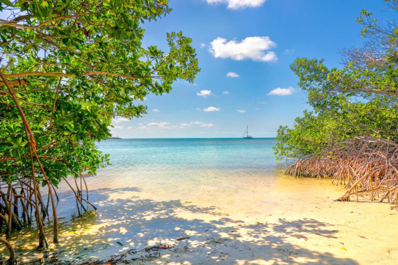 Fiesta Key Rv Resort Standard Room 2 レイトン エクステリア 写真
